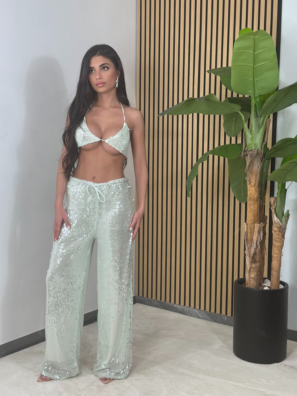Set Miami
